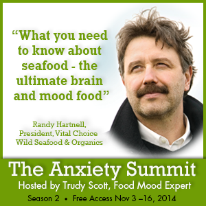 the anxiety summit seafood the ultimate brain and mood food randy hartnell
